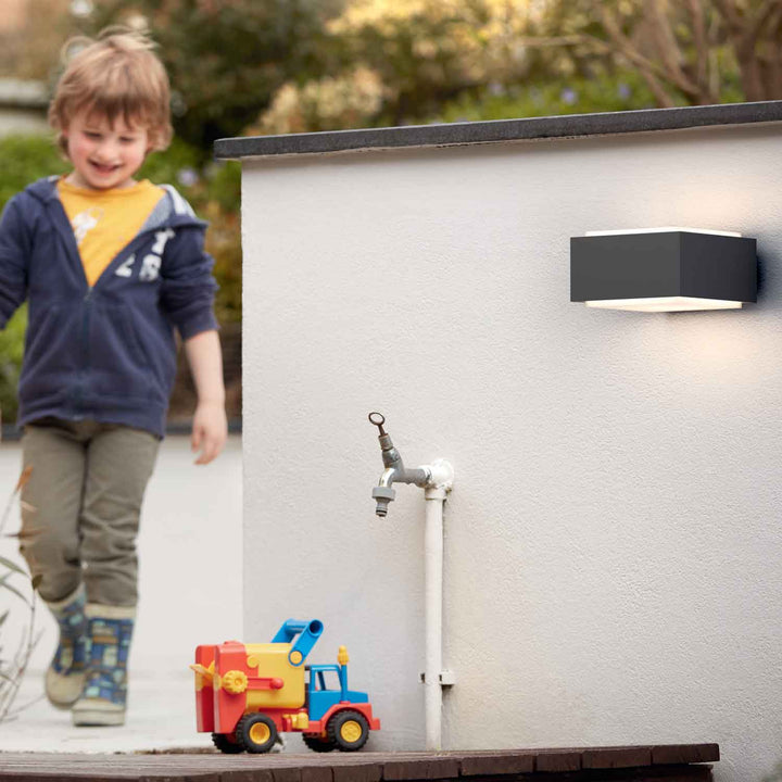 myGarden Hedgehog Vägglampa An