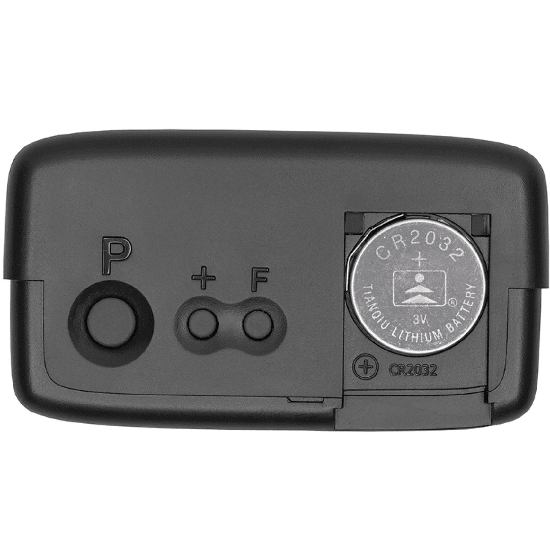 Elektronisk P-skiva