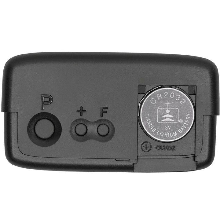 Elektronisk P-skiva