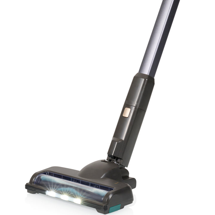 Skaftdammsugare Pet 339395  Ultimate Storm 300W