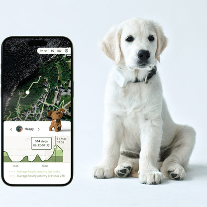 Lildog 2 GPS-Tracker för Hundar