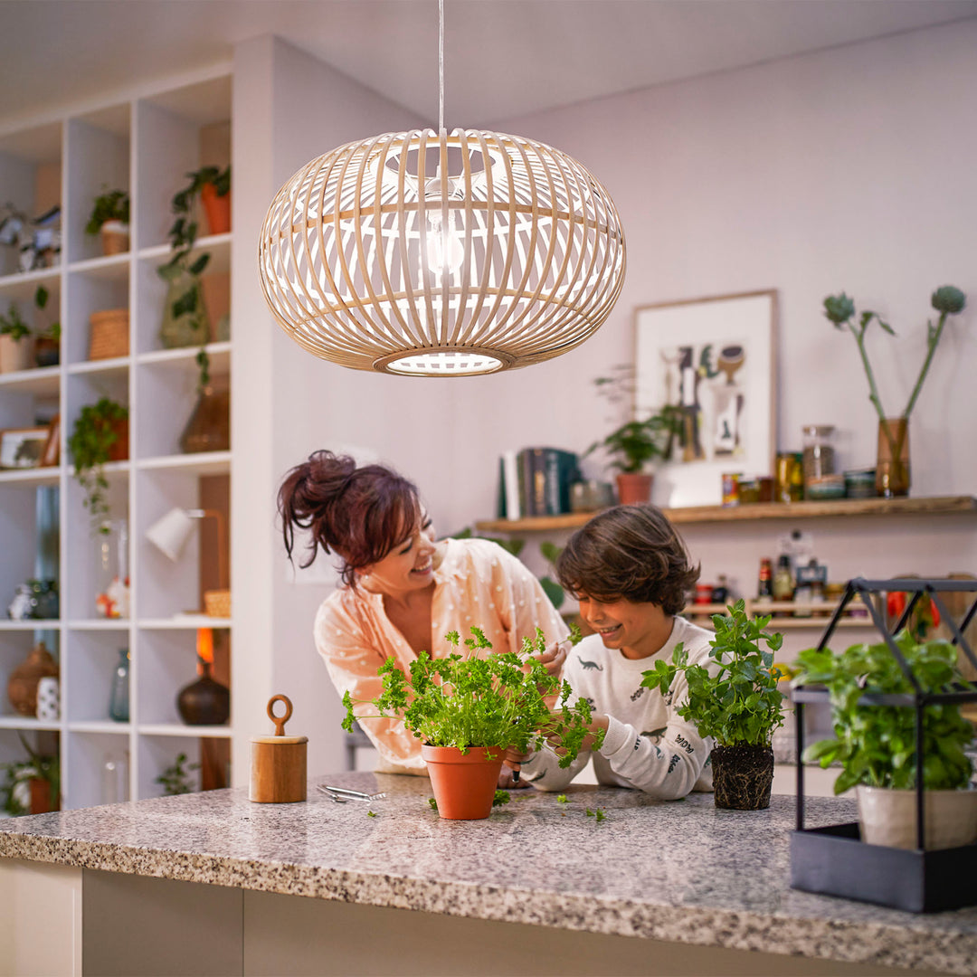 LED E27 Normal A60 4W (60W) Klar 840lm Dimbar 2700K Energiklass A