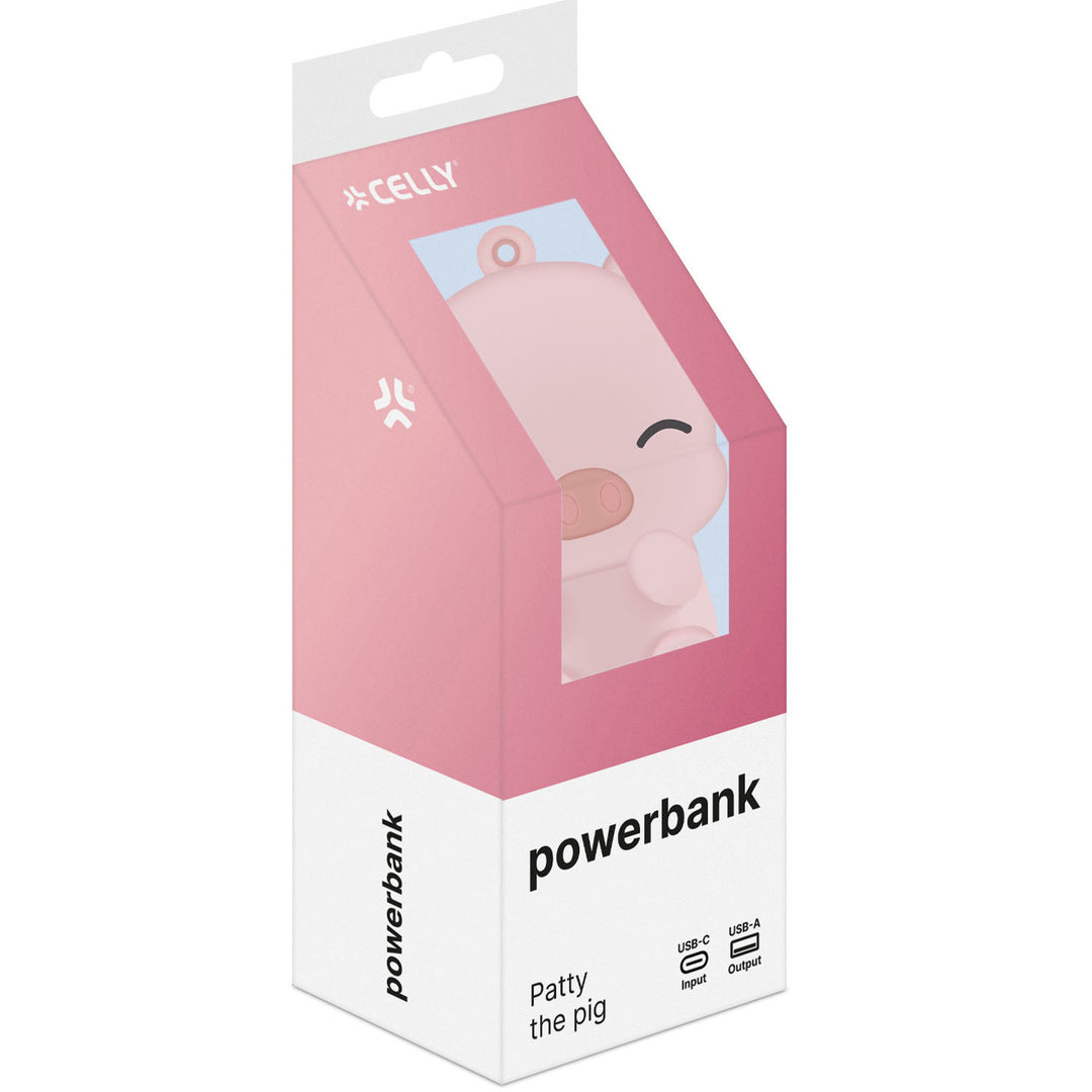 PowerBank 2.600 mAh 5W Gris