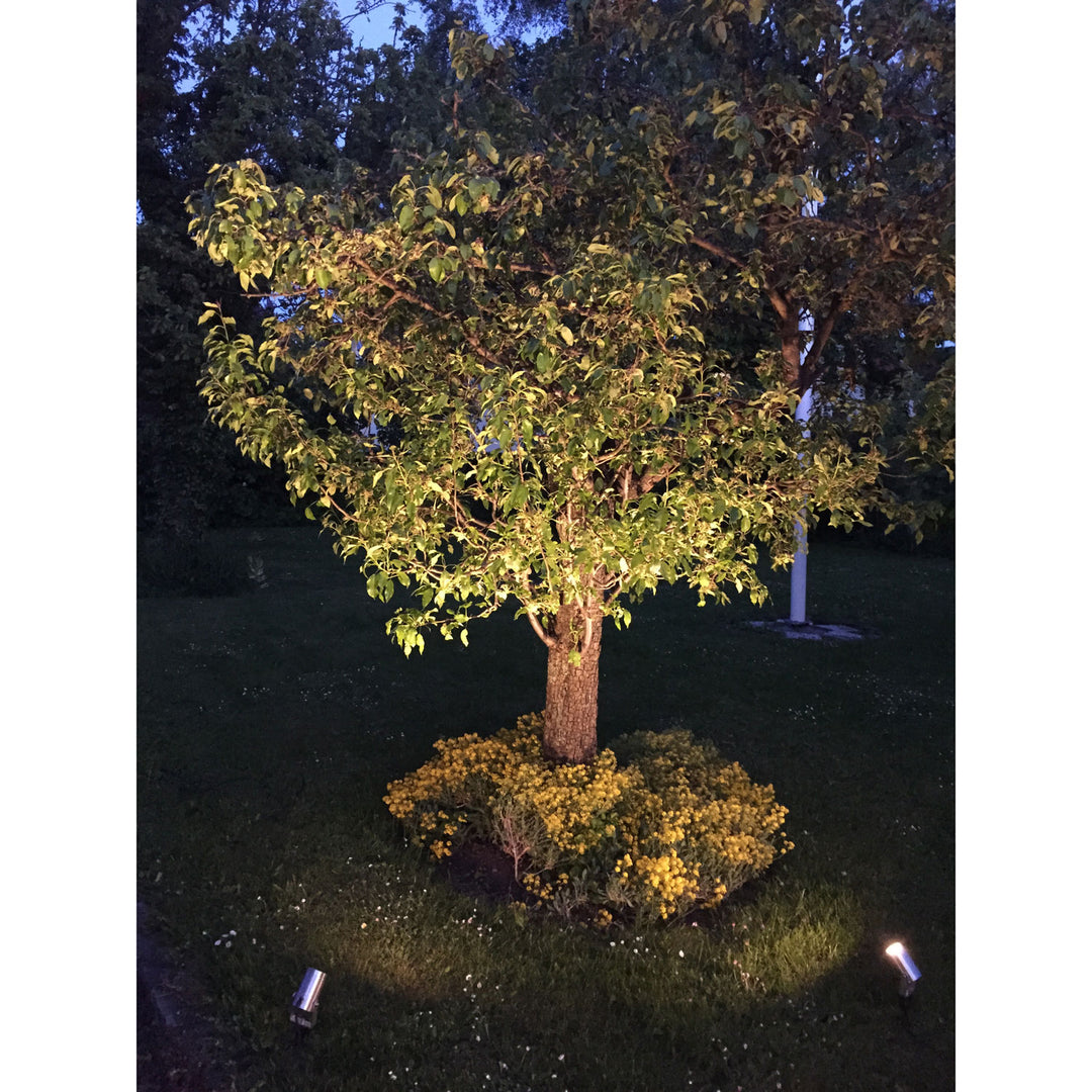 Luna trädgårdsspot 350 lm 5W 35° Silver
